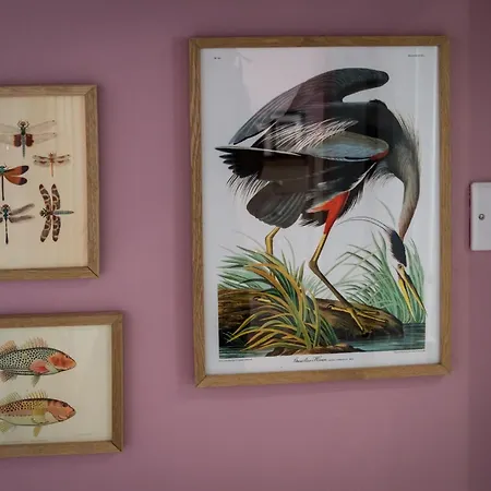 Frühstückspension Garden House Masham